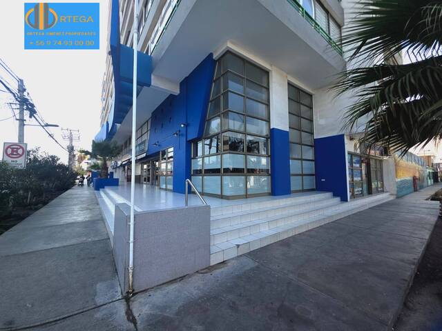 #8 - Departamento para Arriendo en Iquique - I - 3