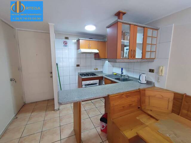 Departamento para Arriendo en Iquique - 4