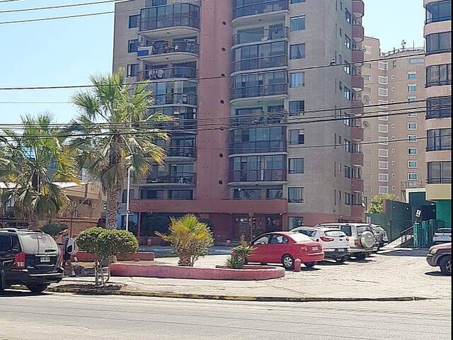 #17 - Departamento para Arriendo en Iquique - I - 2