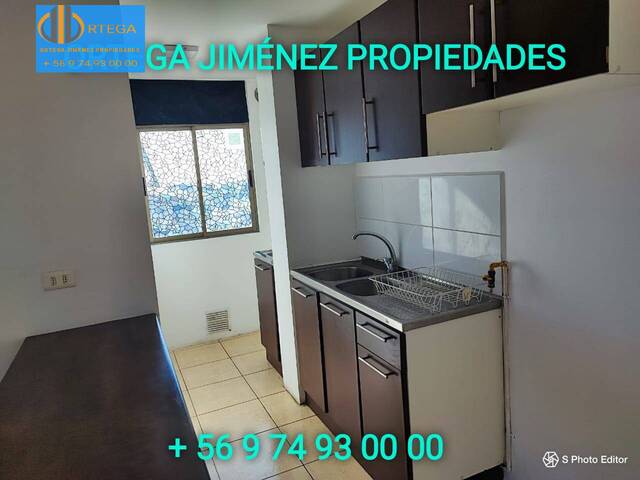 Departamento para Arriendo en Alto Hospicio - 4