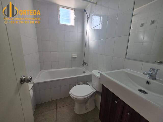 Departamento para Arriendo en Alto Hospicio - 4