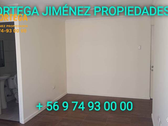 Departamento para Arriendo en Alto Hospicio - 4
